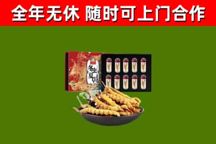 遂昌回收冬虫夏草价格