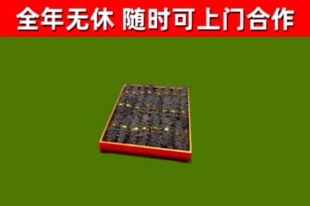 遂昌回收海参